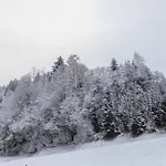 Schwüwong - 02 * Kelchsau